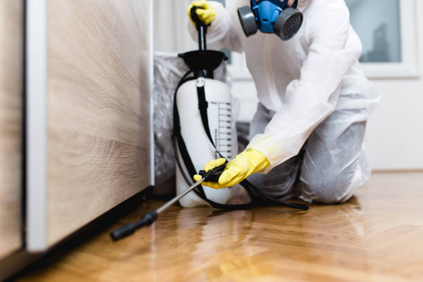 Best Insect Control  in St Clair, MI