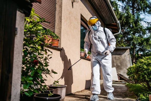 Reliable St Clair, MI Pest Control Solutions