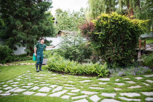 Best Residential Pest Control  in St Clair, MI