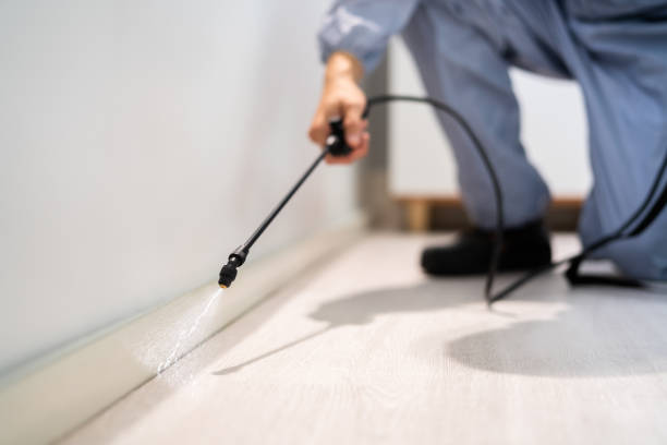 Best Wasp Removal Services  in St Clair, MI