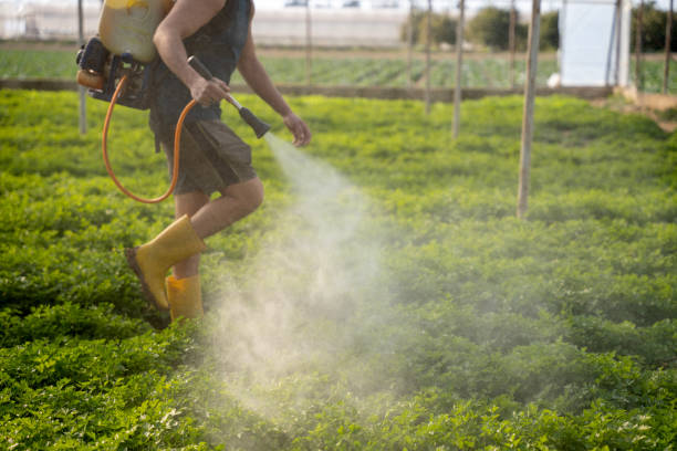 Best Best Pest Control Companies  in St Clair, MI