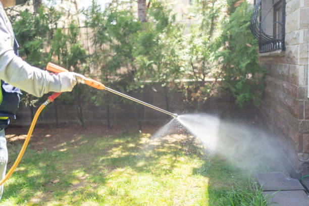 Best Pest Removal Services  in St Clair, MI