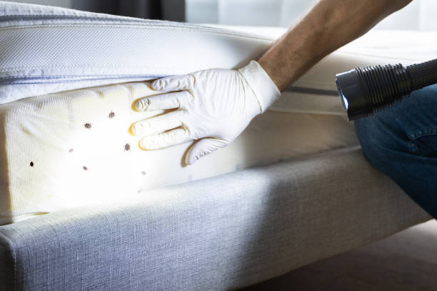 Best Wildlife Control Services  in St Clair, MI