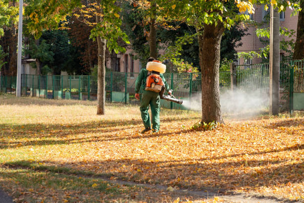Best Spider Control Near Me  in St Clair, MI
