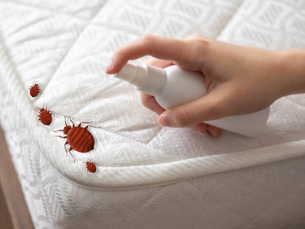 Best Cockroach Control Services  in St Clair, MI