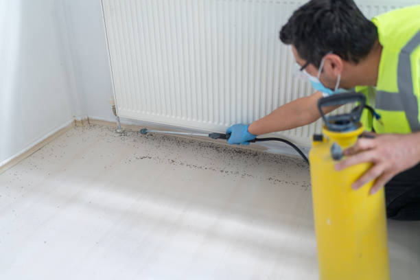 Best Pest Control for Businesses  in St Clair, MI