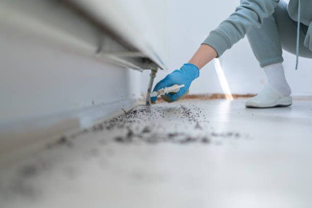 Best Pest Inspection Near Me  in St Clair, MI