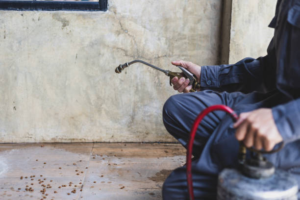 Best Affordable Pest Control Services  in St Clair, MI