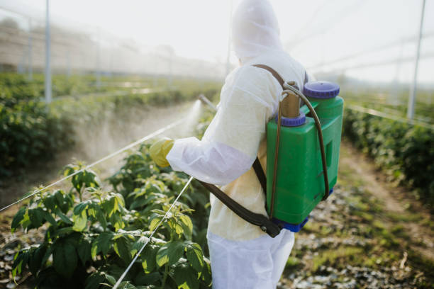 Best Mosquito Control Services  in St Clair, MI